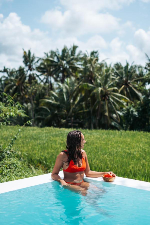 Willa Woywoy Escape Samu (Adults Only) Ubud Zewnętrze zdjęcie