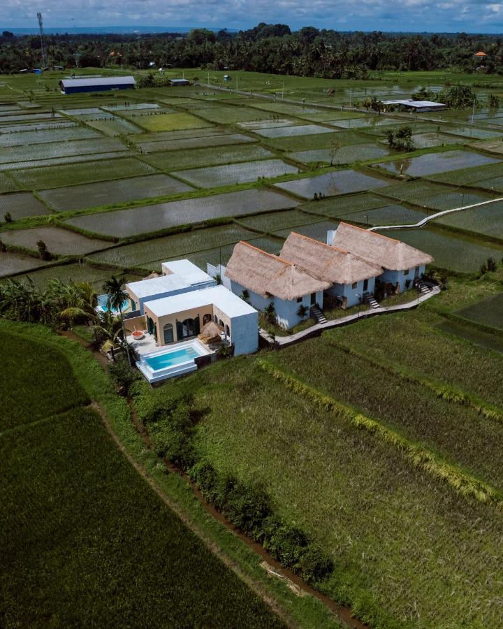 Willa Woywoy Escape Samu (Adults Only) Ubud Zewnętrze zdjęcie